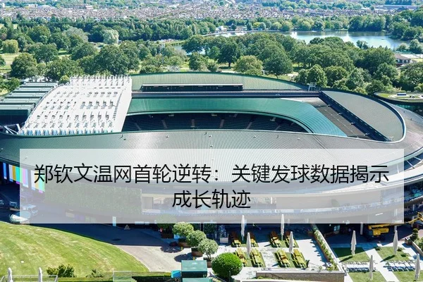 zheng-qin-wen-wen-wang-shou-lun-ni-zhuan-guan-jian-fa-qiu-shu-ju-jie-shi-cheng-zhang-gui-ji-3-600.jpg